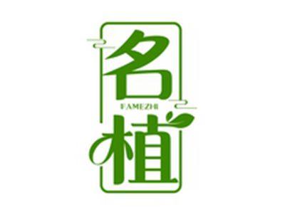 名植FAMEZHI