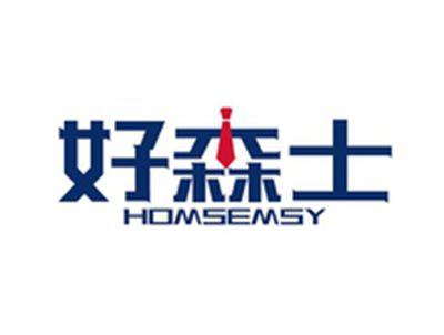 好森士HOMSEMSY