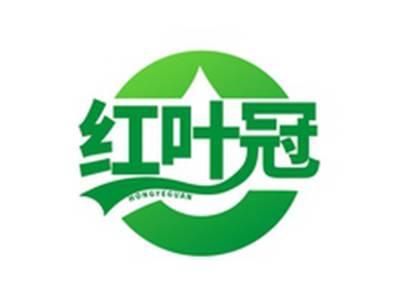 红叶冠HONGYEGUAN