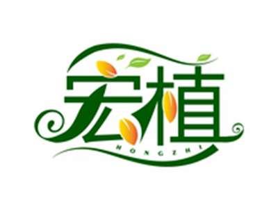 宏植HONGZHI