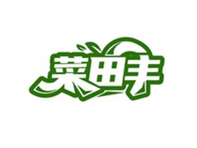 菜田丰