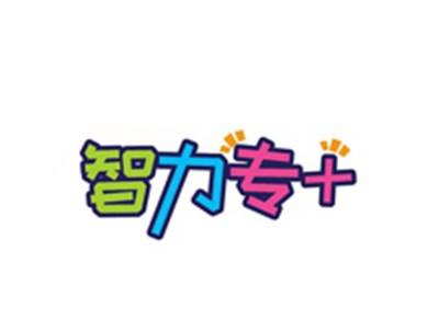 智力专+