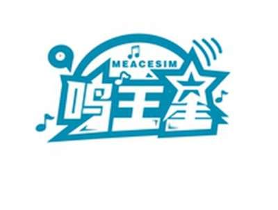 鸣王星MEACESIM