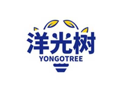 洋光树YONGOTREE