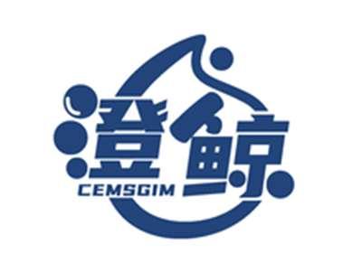 澄鲸CEMSGIM
