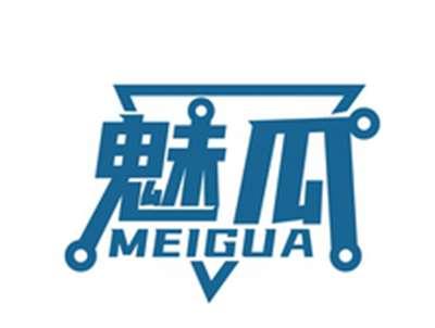 魅瓜MEIGUA