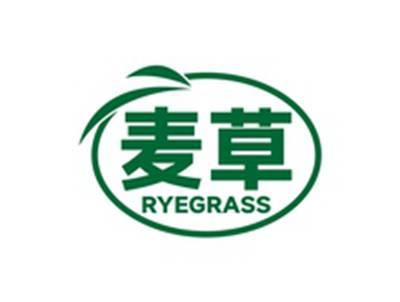 麦草RYEGRASS