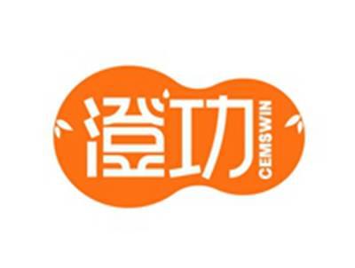 澄功CEMSWIN