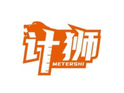 计狮METERSHI