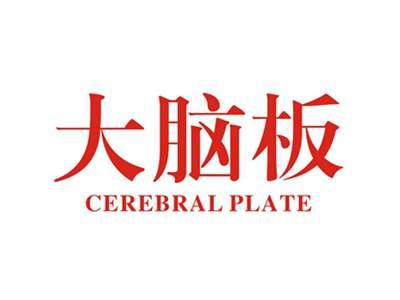 大脑板