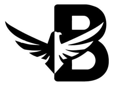鹰、B