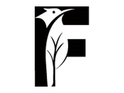 啄木鸟F