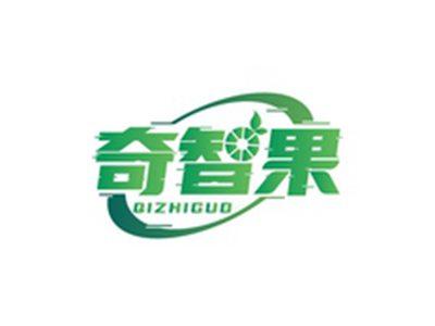 奇智果QIZHIGUO