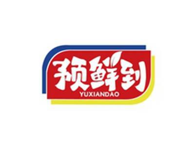 预鲜到YUXIANDAO