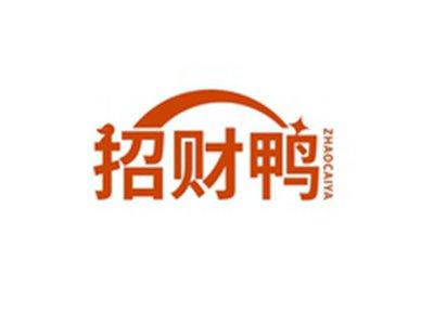 招财鸭ZHAOCAIYA
