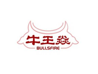 牛王焱BULLSFIRE