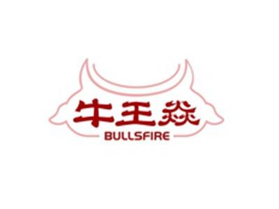 牛王焱BULLSFIRE
