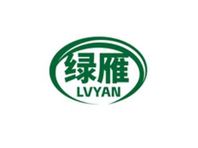 绿雁LVYAN