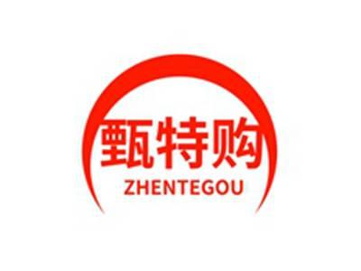 甄特购ZHENTEGOU