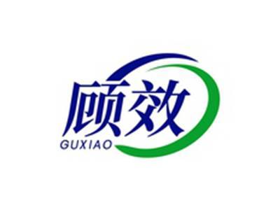 顾效GUXIAO