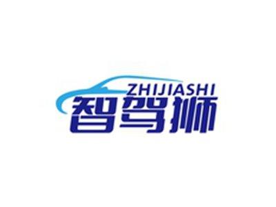 智驾狮ZHIJIASHI