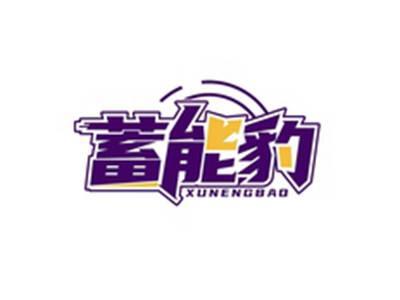 蓄能豹XUNENGBAO
