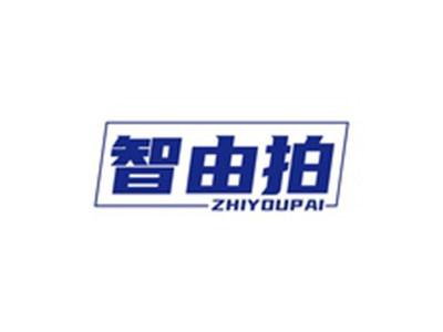 智由拍ZHIYOUPAI