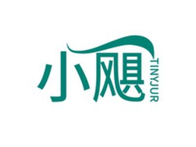 小飓TINYJUR