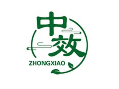 中效ZHONGXIAO