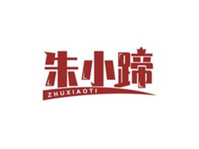 朱小蹄ZHUXIAOTI