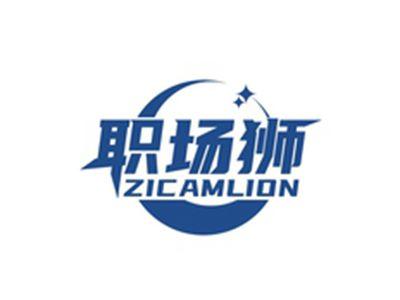 职场狮ZICAMLION