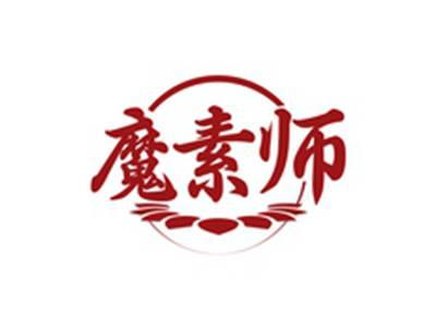魔素师