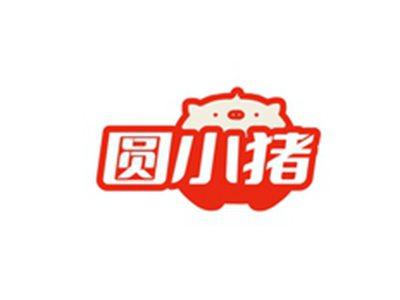 圆小猪