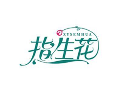 指生花ZYSEMHUA