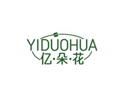 亿朵花YIDUOHUA