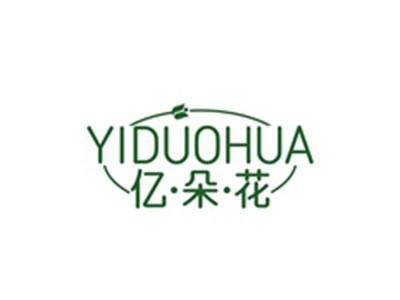 亿朵花YIDUOHUA