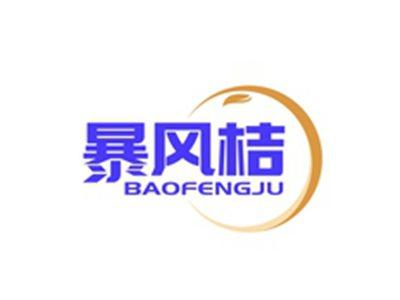 暴风桔BAOFENGJU