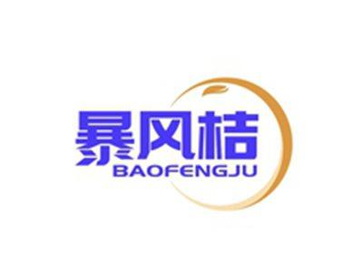 暴风桔BAOFENGJU