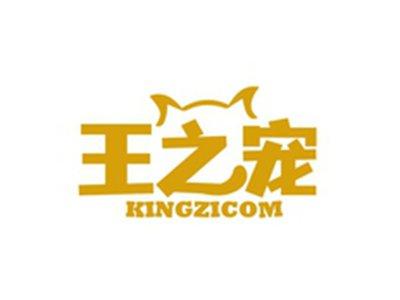 王之宠KINGZICOM