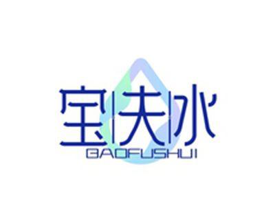宝夫水BAOFUSHUI