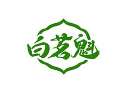 白茗魁
