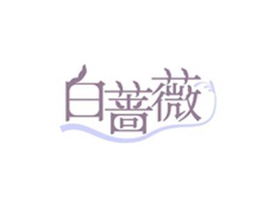 白蔷薇