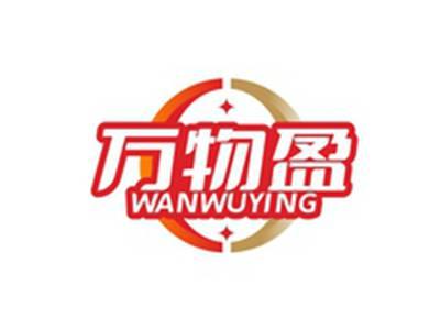 万物盈WANWUYING