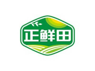 正鲜田