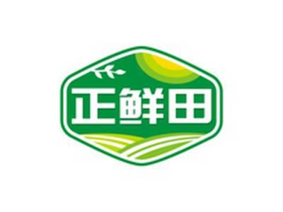 正鲜田