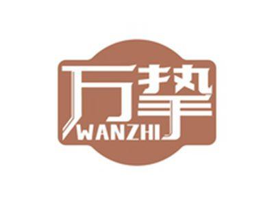 万挚WANZHI