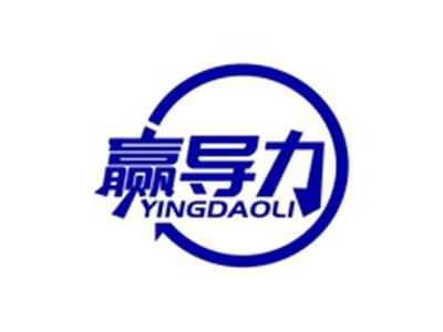 赢导力YINGDAOLI