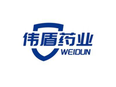 伟盾药业WEIDUN