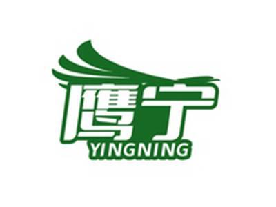 鹰宁YINGNING