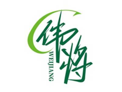 伟将WEIJIANG